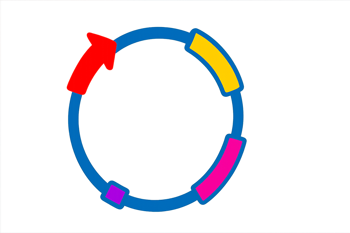what is a plasmid - plasmid map stylicized