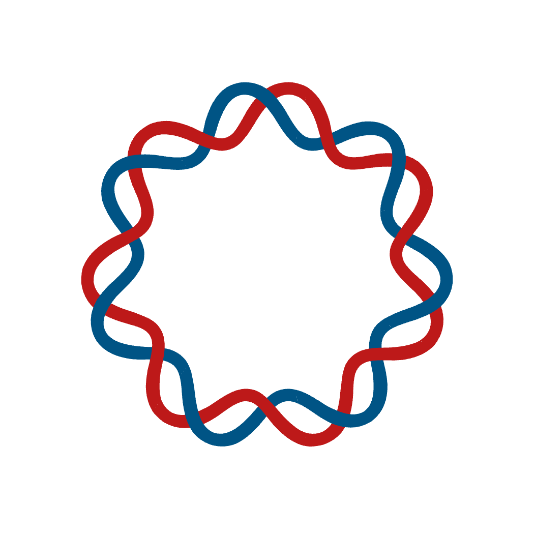Whole Plasmid Synthesis