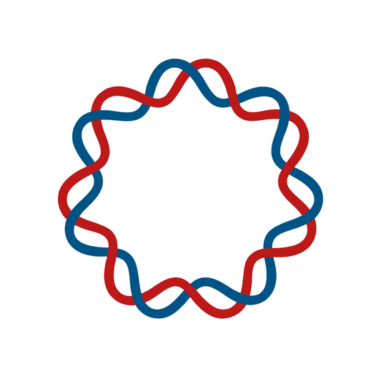 Whole Plasmid Synthesis