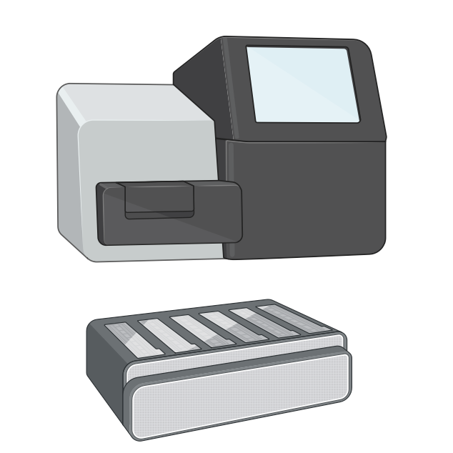 Whole Plasmid Sequencing